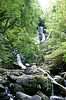 Wasserfall im Killarney National Park